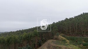 Terreno Rstico T0 - Vandoma, Paredes, Porto - Miniatura: 8/24