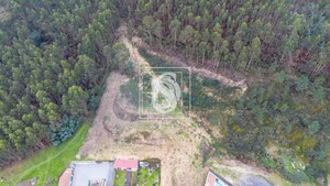 Terreno Rstico T0 - Vandoma, Paredes, Porto - Miniatura: 9/24