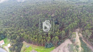 Terreno Rstico T0 - Vandoma, Paredes, Porto - Miniatura: 10/24