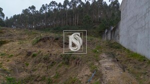 Terreno Rstico T0 - Vandoma, Paredes, Porto - Miniatura: 18/24