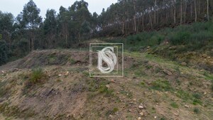 Terreno Rstico T0 - Vandoma, Paredes, Porto - Miniatura: 22/24