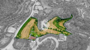 Moradia T3 - Vila Ch� do Mar�o, Amarante, Porto - Miniatura: 9/32