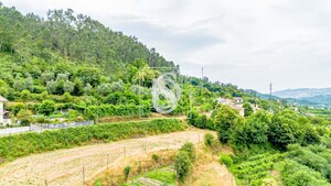 Moradia T3 - Vila Ch� do Mar�o, Amarante, Porto - Miniatura: 30/32