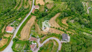 Moradia T3 - Vila Ch� do Mar�o, Amarante, Porto - Miniatura: 31/32