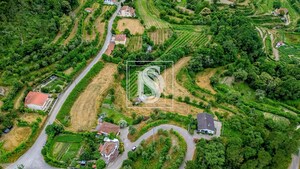 Moradia T3 - Vila Ch� do Mar�o, Amarante, Porto - Miniatura: 32/32