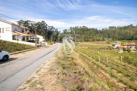 Terreno Rstico T0 - Vila Garcia, Amarante, Porto - Miniatura: 6/11