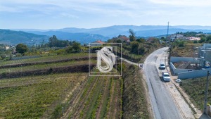 Terreno Rstico T0 - Vila Garcia, Amarante, Porto - Miniatura: 8/11