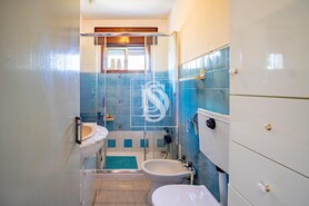 Moradia T3 - Santo Isidoro, Marco de Canaveses, Porto - Miniatura: 12/49