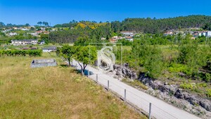 Terreno R�stico T0 - Fregim, Amarante, Porto - Miniatura: 11/22