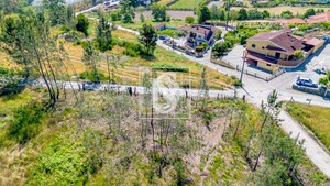 Terreno R�stico T0 - Fregim, Amarante, Porto - Miniatura: 18/22