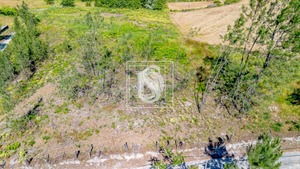 Terreno R�stico T0 - Fregim, Amarante, Porto - Miniatura: 19/22