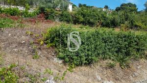 Terreno R�stico - Ancede, Bai�o, Porto - Miniatura: 17/29