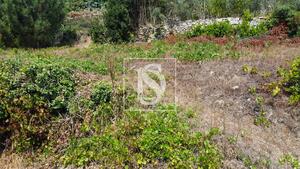 Terreno R�stico - Ancede, Bai�o, Porto - Miniatura: 18/29