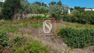 Terreno R�stico - Ancede, Bai�o, Porto - Miniatura: 22/29