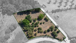 Terreno R�stico - Fregim, Amarante, Porto - Miniatura: 1/7