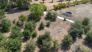 Terreno R�stico - Fregim, Amarante, Porto - Miniatura: 7/7