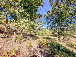 Terreno R�stico - Grilo, Bai�o, Porto - Miniatura: 8/40