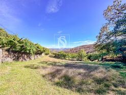 Terreno R�stico - Grilo, Bai�o, Porto - Miniatura: 10/40