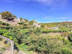 Terreno R�stico - Grilo, Bai�o, Porto - Miniatura: 18/40