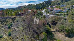 Terreno R�stico - Grilo, Bai�o, Porto - Miniatura: 38/40