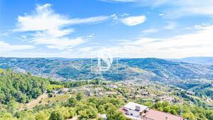 Terreno R�stico - Frende, Bai�o, Porto - Miniatura: 2/36