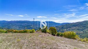 Terreno R�stico - Frende, Bai�o, Porto - Miniatura: 5/36