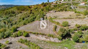 Terreno R�stico - Frende, Bai�o, Porto - Miniatura: 18/36