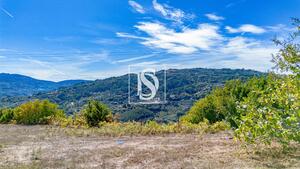 Terreno R�stico - Frende, Bai�o, Porto - Miniatura: 25/36