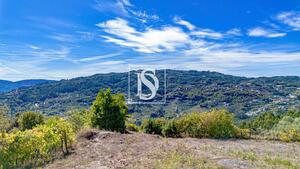 Terreno R�stico - Frende, Bai�o, Porto - Miniatura: 26/36