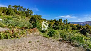 Terreno R�stico - Frende, Bai�o, Porto - Miniatura: 31/36