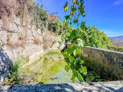 Terreno R�stico - Grilo, Bai�o, Porto - Miniatura: 11/40