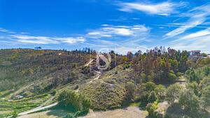 Terreno R�stico - Grilo, Bai�o, Porto - Miniatura: 19/40