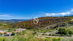 Terreno R�stico - Grilo, Bai�o, Porto - Miniatura: 22/40