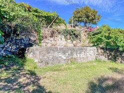 Terreno R�stico - Grilo, Bai�o, Porto - Miniatura: 25/40