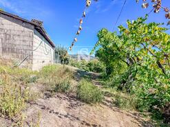 Terreno R�stico - Grilo, Bai�o, Porto - Miniatura: 30/40