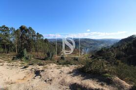 Terreno R�stico - Fregim, Amarante, Porto - Miniatura: 6/23