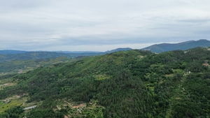 Moradia T2 - Bustelo, Amarante, Porto - Miniatura: 6/38