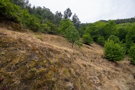 Moradia T2 - Bustelo, Amarante, Porto - Miniatura: 25/38