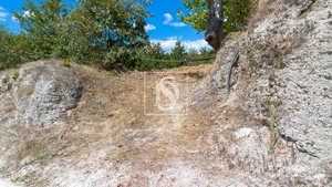 Terreno R�stico - Fregim, Amarante, Porto - Miniatura: 2/7