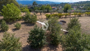 Terreno R�stico - Fregim, Amarante, Porto - Miniatura: 5/7