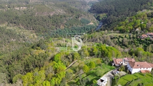 Terreno R�stico - REBORDELO, Amarante, Porto - Miniatura: 9/19