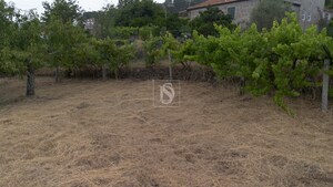 Terreno Urbano - Ancede, Bai�o, Porto - Miniatura: 21/25