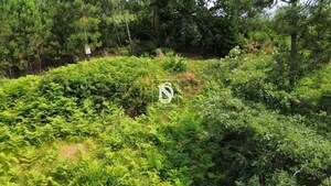 Terreno R�stico - Salvador do Monte, Amarante, Porto - Miniatura: 3/12