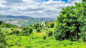 Terreno R�stico - Salvador do Monte, Amarante, Porto - Miniatura: 4/12