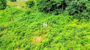 Terreno R�stico - Salvador do Monte, Amarante, Porto - Miniatura: 7/12