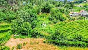 Terreno R�stico - Salvador do Monte, Amarante, Porto - Miniatura: 8/12