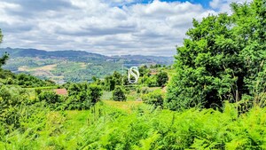 Terreno R�stico - Salvador do Monte, Amarante, Porto - Miniatura: 10/12