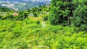 Terreno R�stico - Salvador do Monte, Amarante, Porto - Miniatura: 12/12