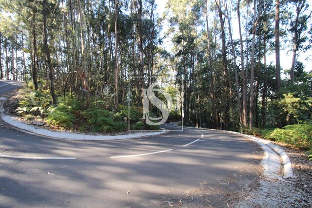 Terreno R�stico - REBORDELO, Amarante, Porto - Imagem grande