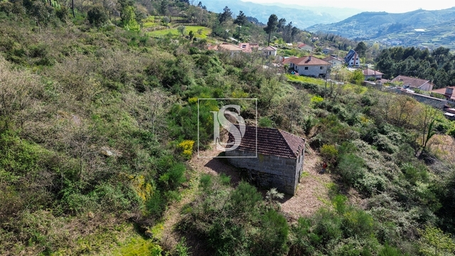 Quinta - Gesta��, Bai�o, Porto - Imagem grande